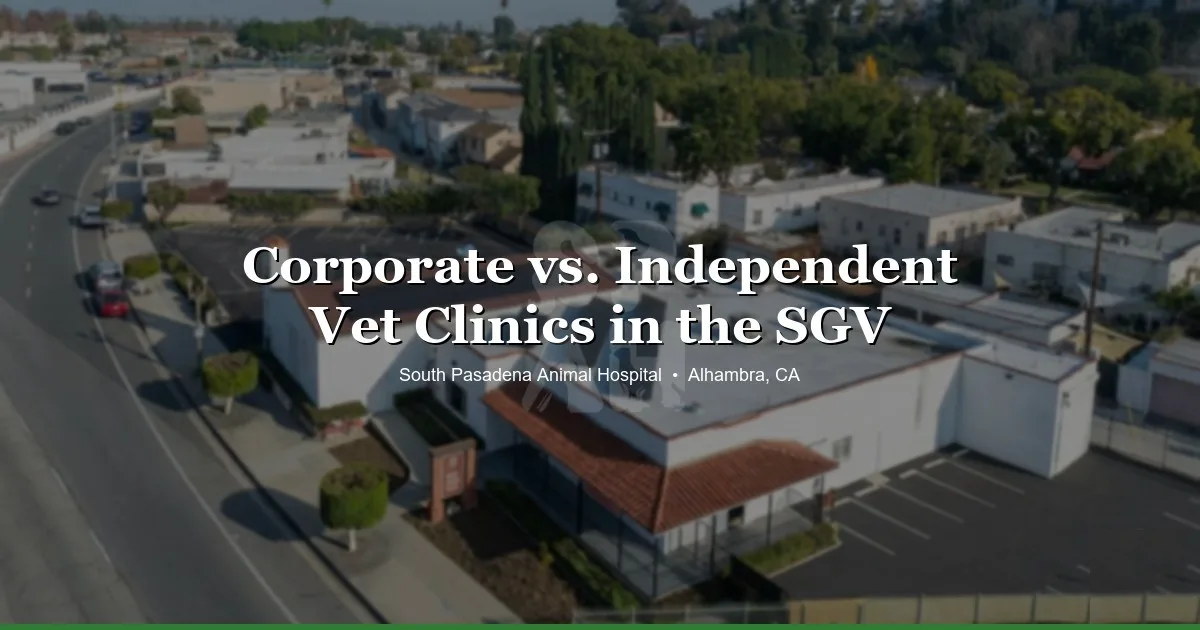 Choosing a vet in the SGV at SPAH