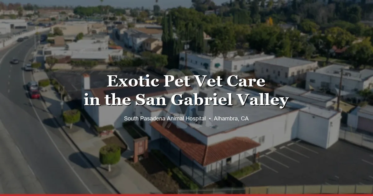 Exotic pet vet in the San Gabriel Valley