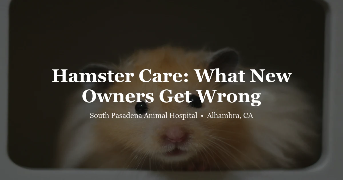 Hamster in bedding — hamster care guide