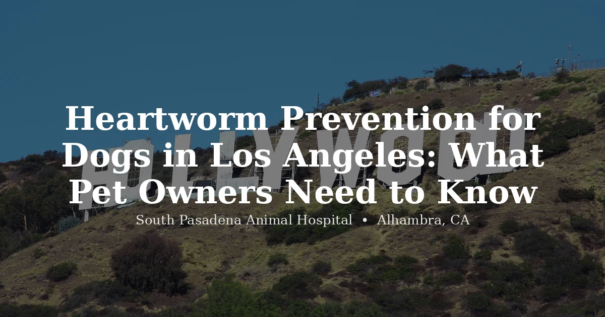 Dog outdoors Los Angeles Alhambra heartworm prevention South Pasadena Animal Hospital