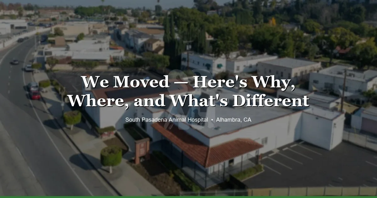 SPAH new location in Alhambra CA