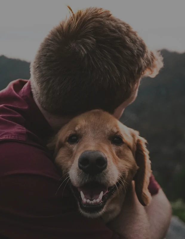 Person hugging dog — top Health & Wellness article
