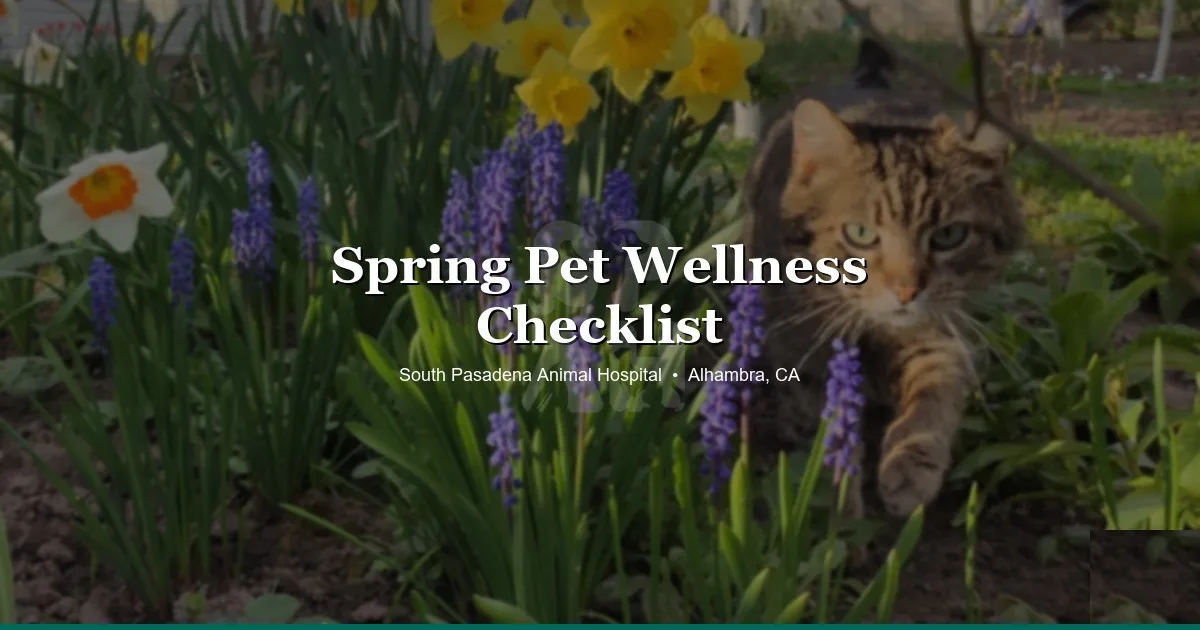 Spring pet wellness at SPAH Alhambra