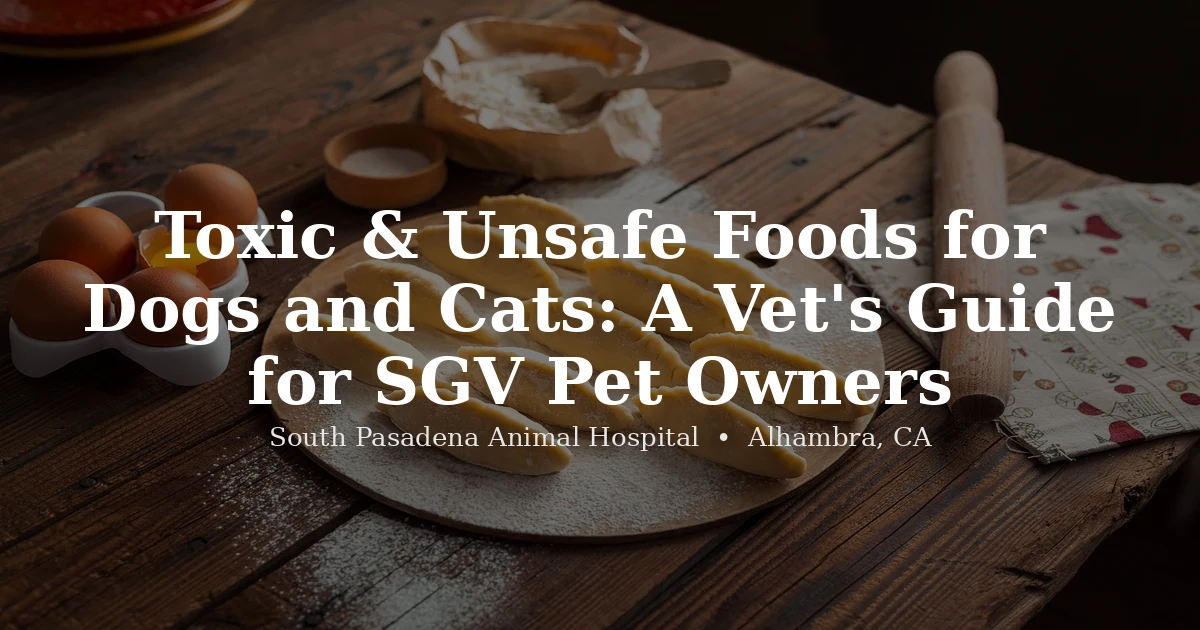 Dog and cat near kitchen food at South Pasadena Animal Hospital Alhambra