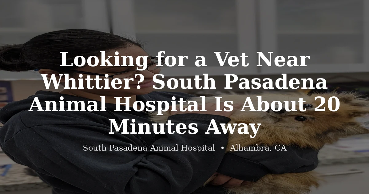 Veterinarian examining a dog at South Pasadena Animal Hospital serving Whittier