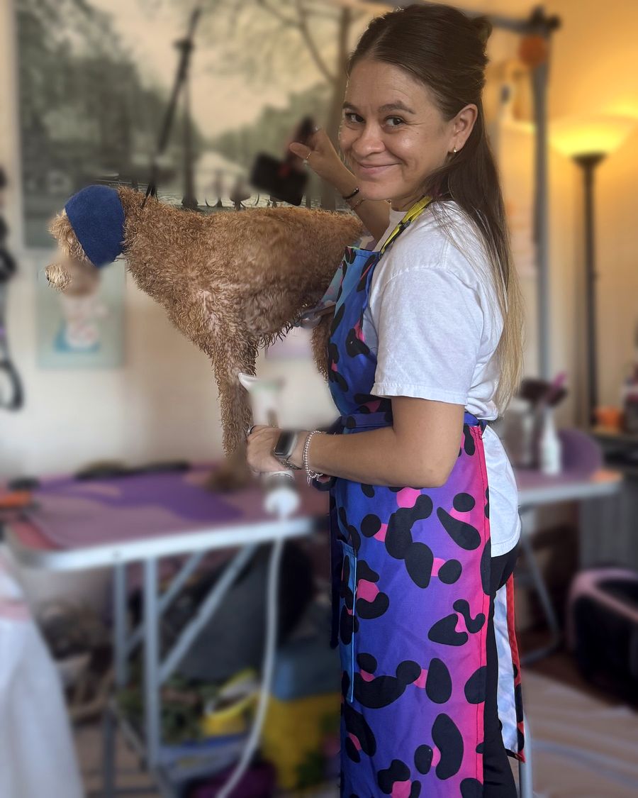 Head groomer Gabby DeGuchy grooming an apricot doodle – dog grooming at South Pasadena Animal Hospital in Alhambra, CA